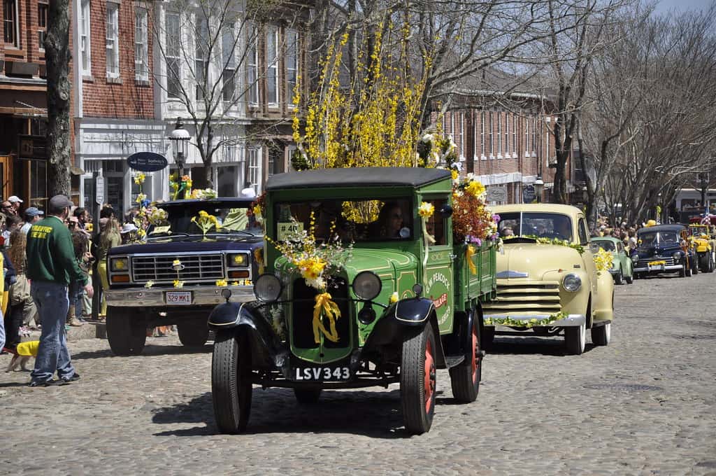 Daffodil Festival