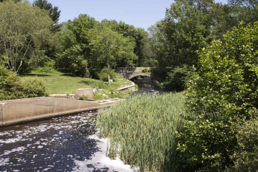 Luddam’s Ford Park