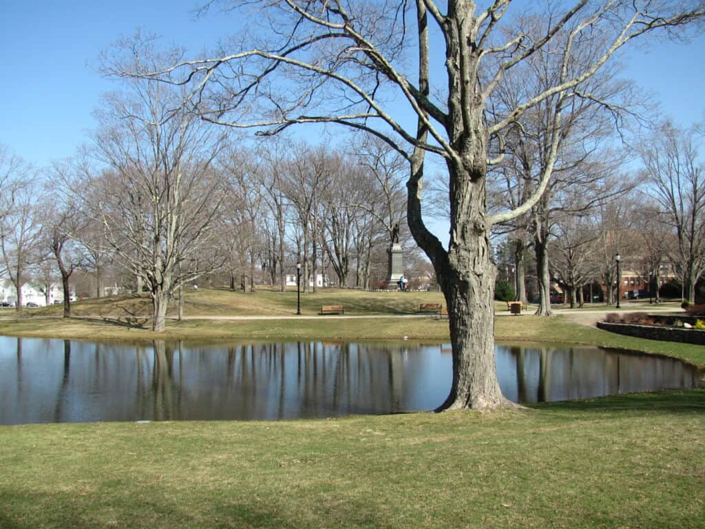 Whitman Town Park