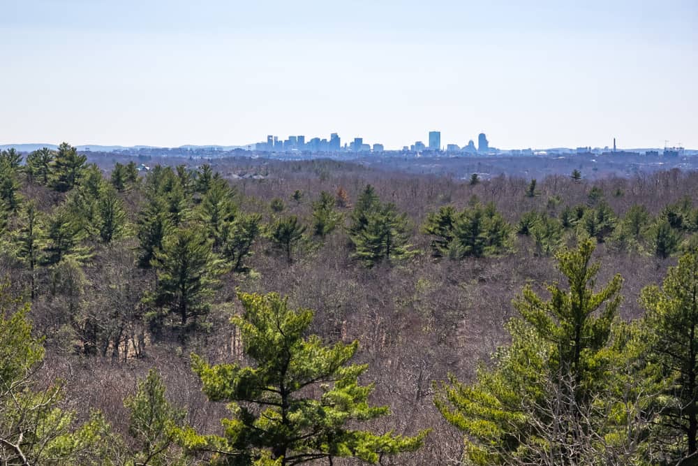 Lynn Woods Reservation
