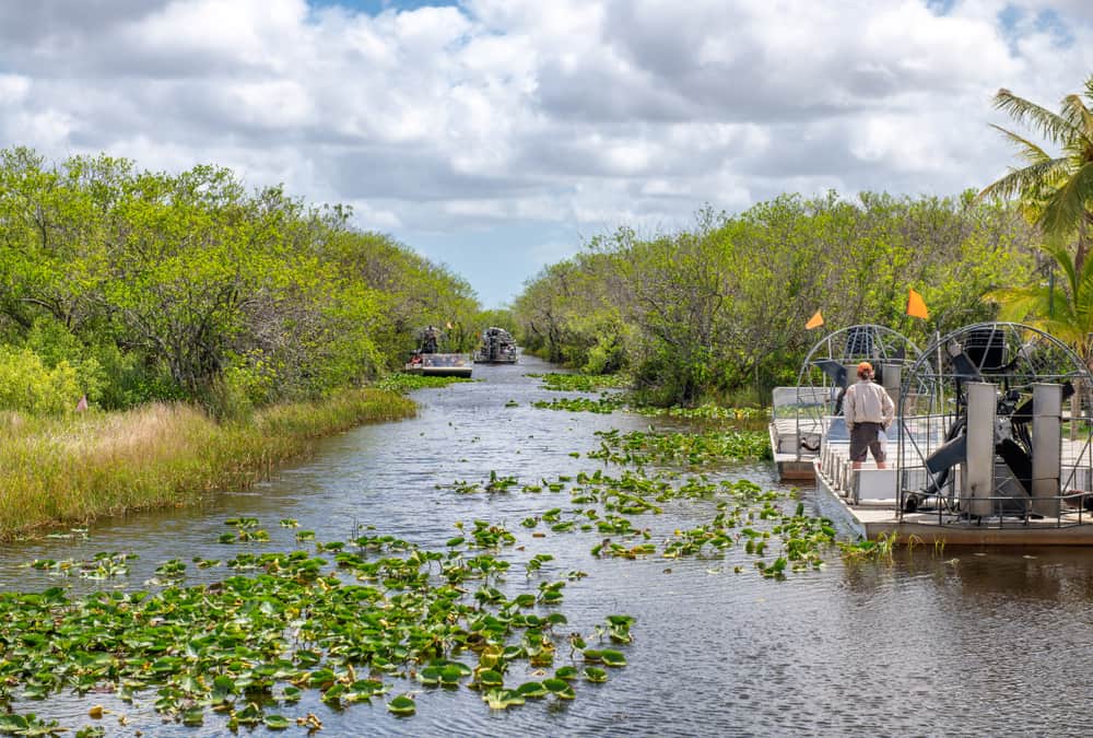Everglades National Park, Airboat Tour