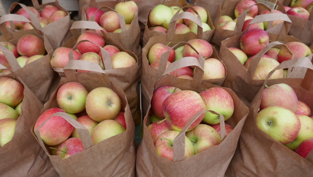 Apples