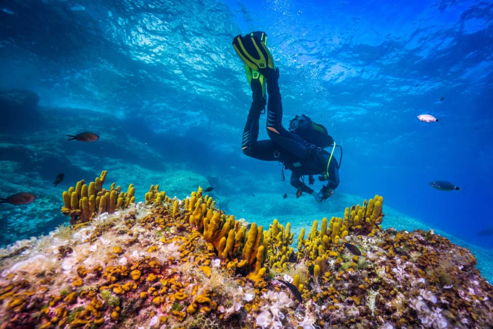 Diving in Hvar