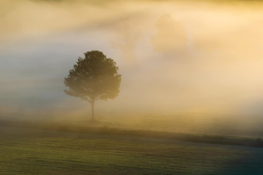 Dexter Drumlin Reservation