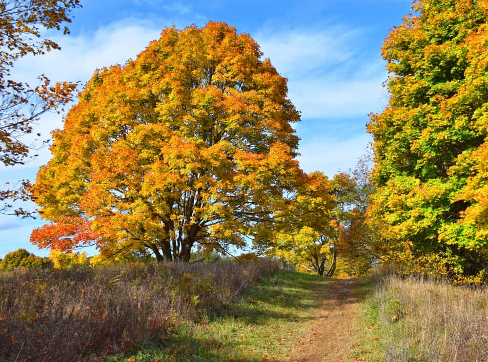 Bay Circuit Trail, Duxbury