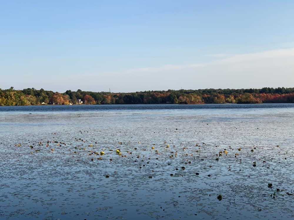 Lake Winthrop