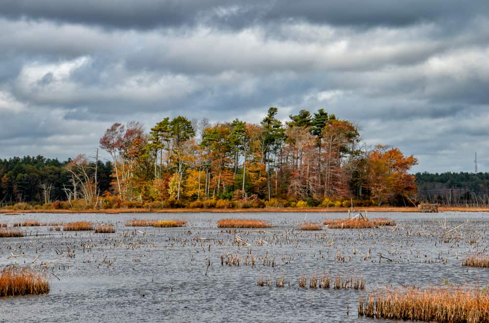 Burrage Pond Wildlife Management Area