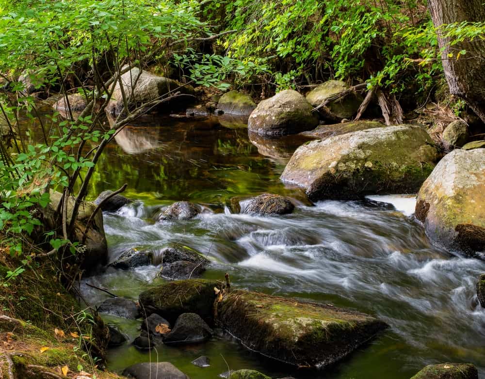 Pearl Hill State Park