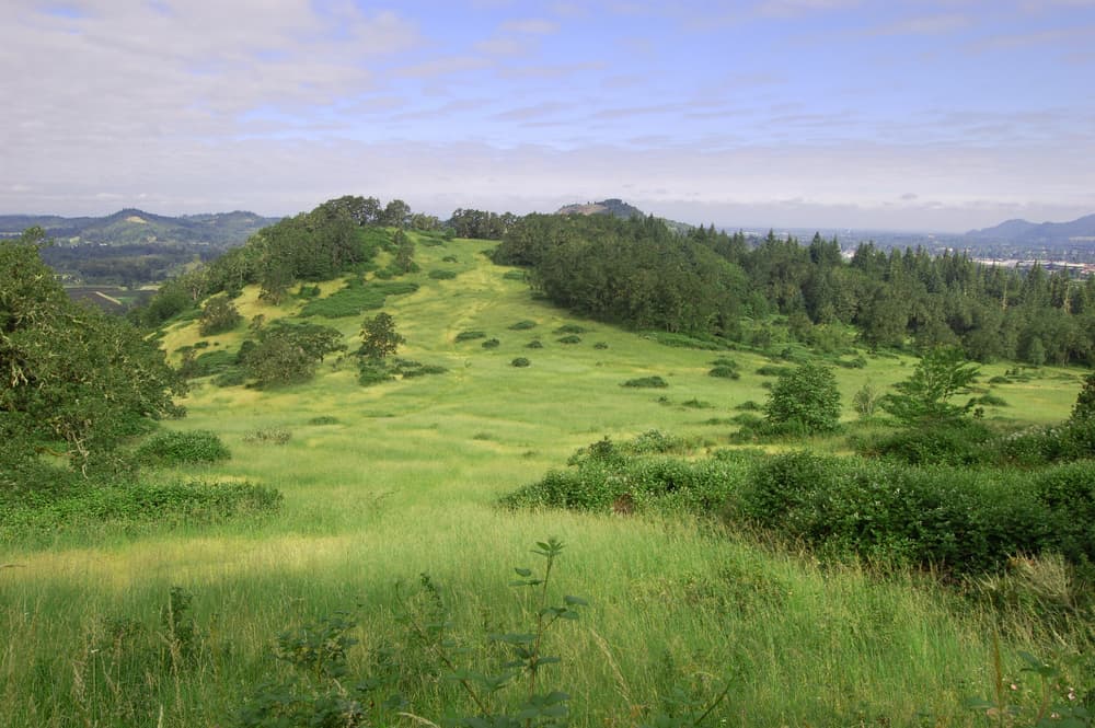 Mount Pisgah