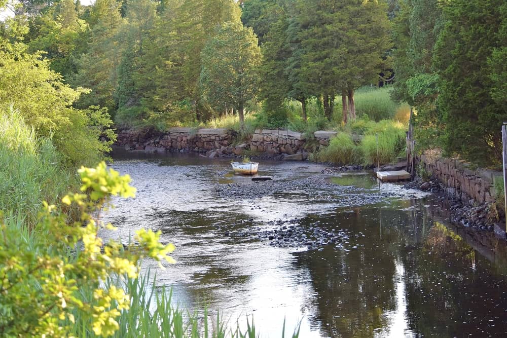 Jones River in Kingston