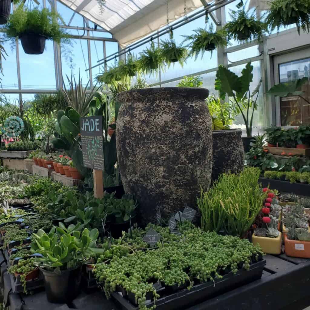 Weston Nurseries - Hopkinton