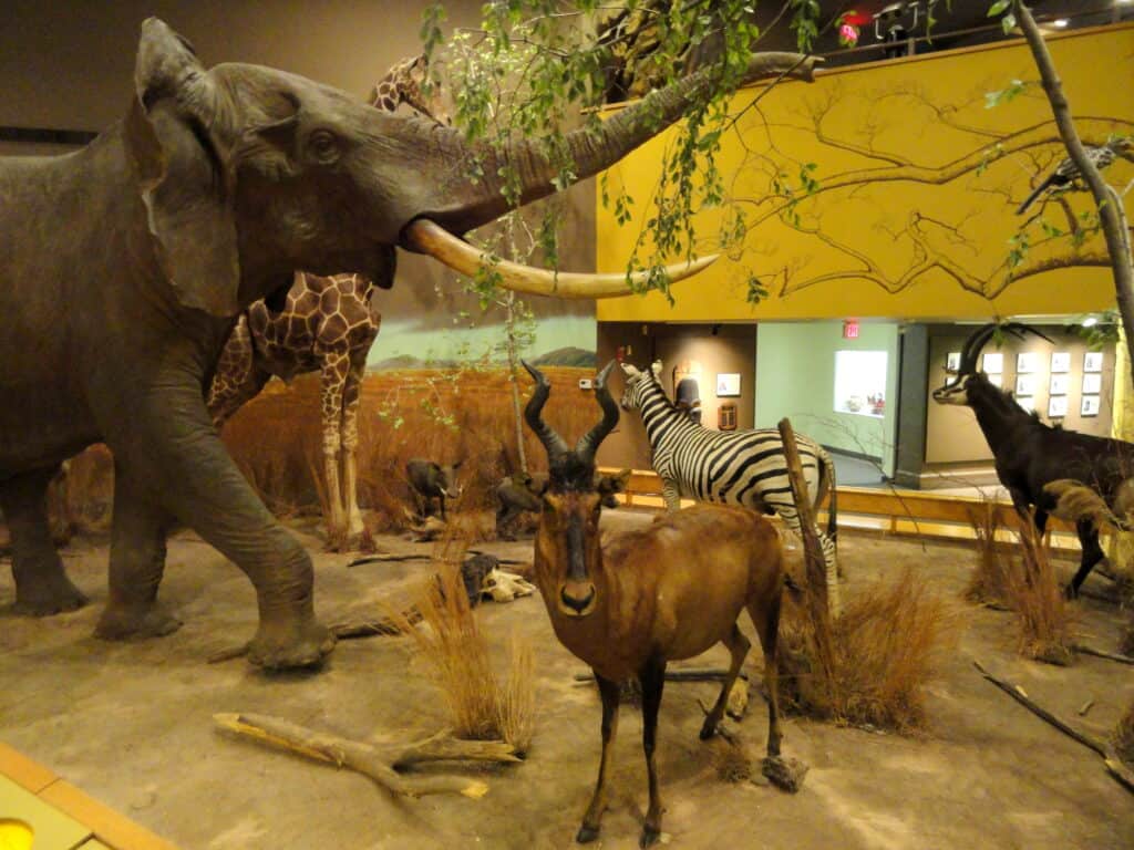 Springfield Science Museum