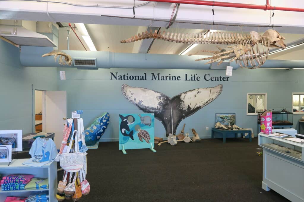 National Marine Life Center