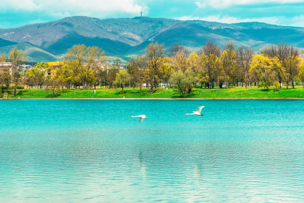 Jarun Lake
