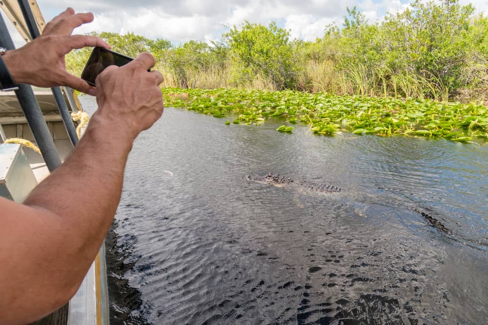 Airboat Tour