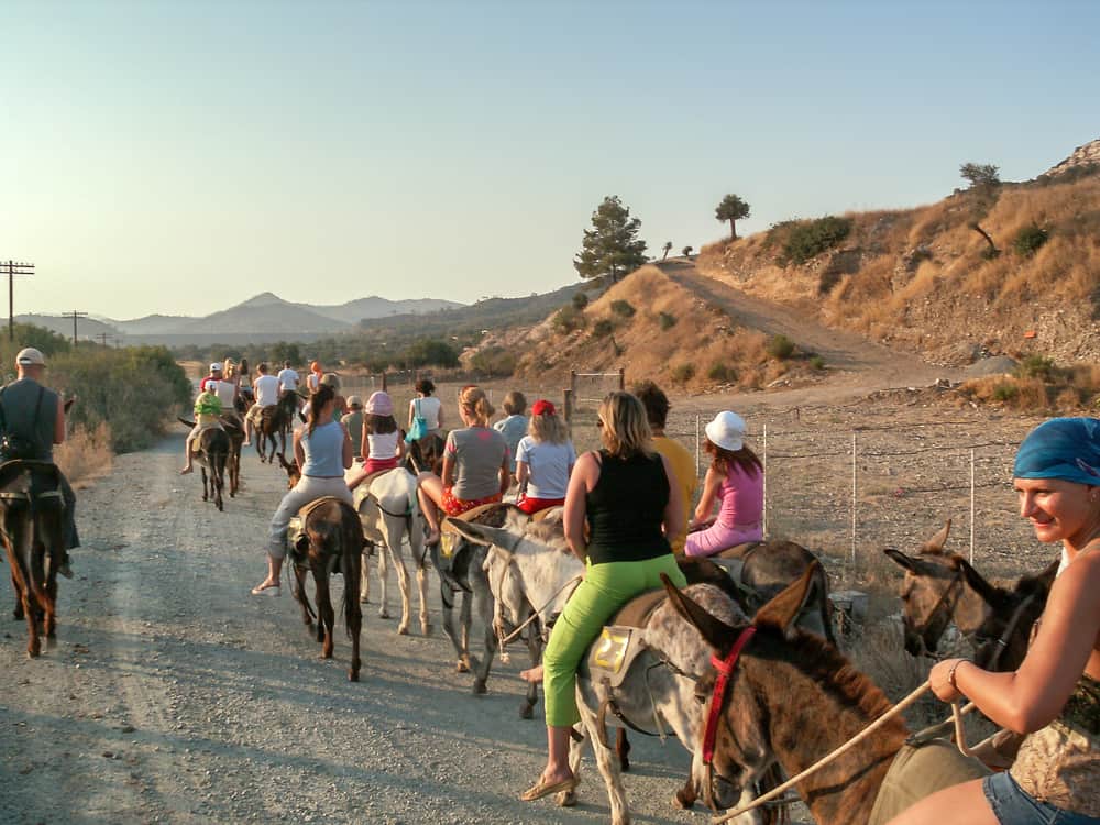 Horseback Riding in Cyprus