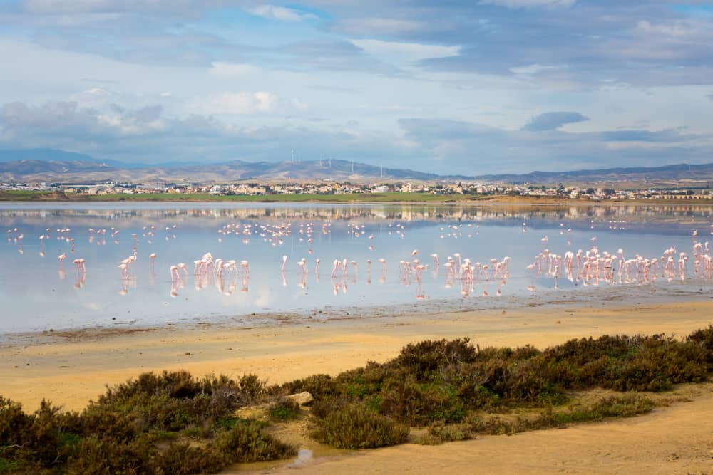 Akrotiri Salt Lake