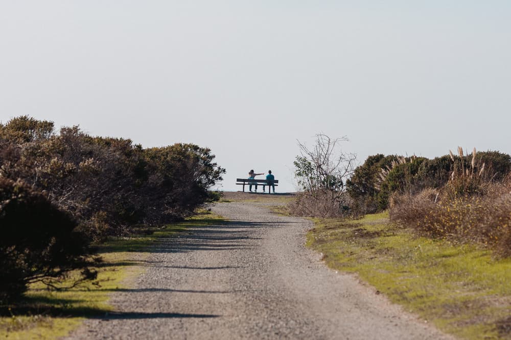 Hayward Regional Shoreline