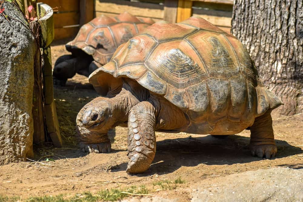 Greensboro Natural Science Center