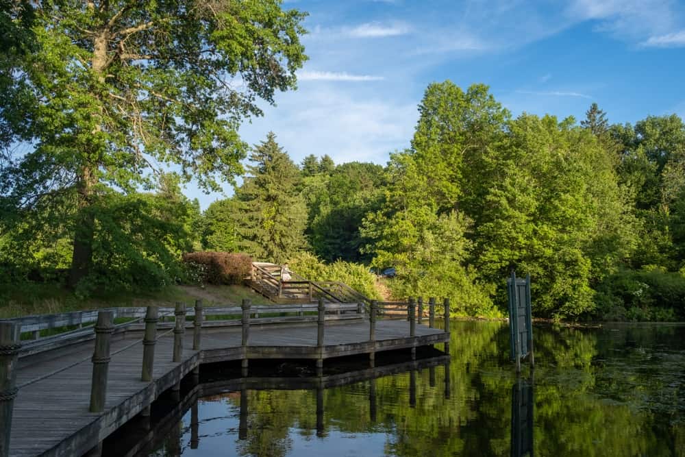 Springfield’s Forest Park