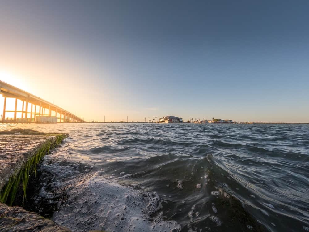 Laguna Madre