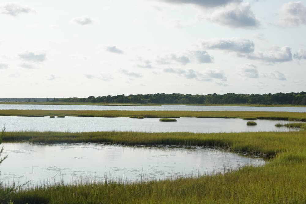 Waquoit Bay National Estuarine Research Reserve