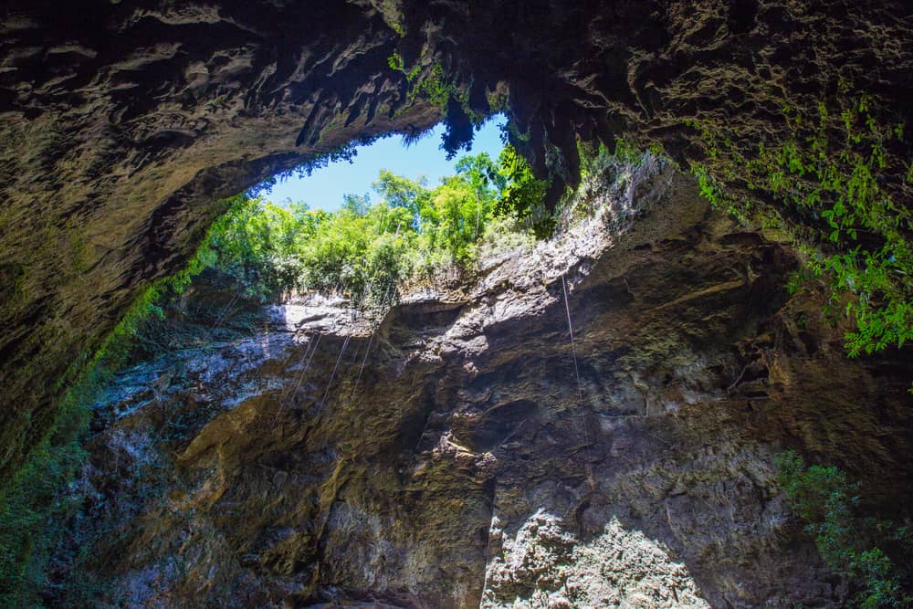 Rio Camuy Caves