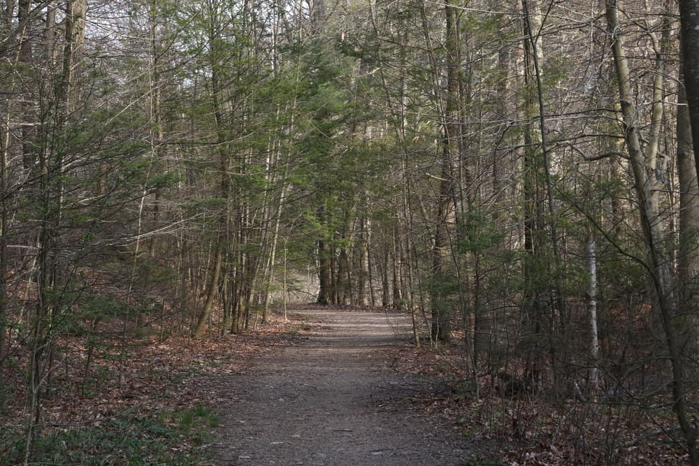 Marblehead Neck Wildlife Sanctuary