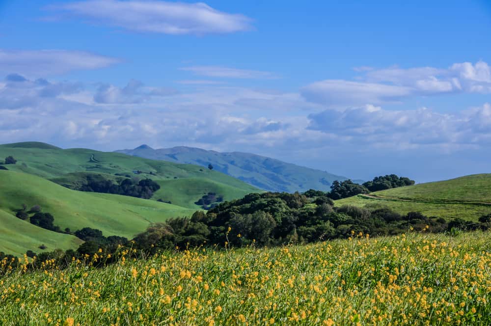 Garin Regional Park