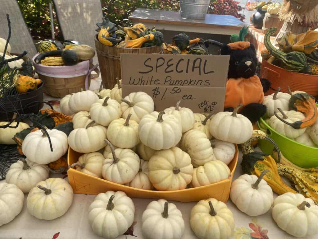 Flying Cloud Orchards