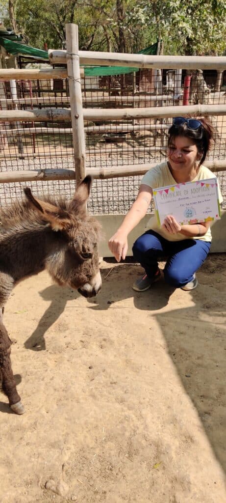 Me and my Donkey at the Barnyard