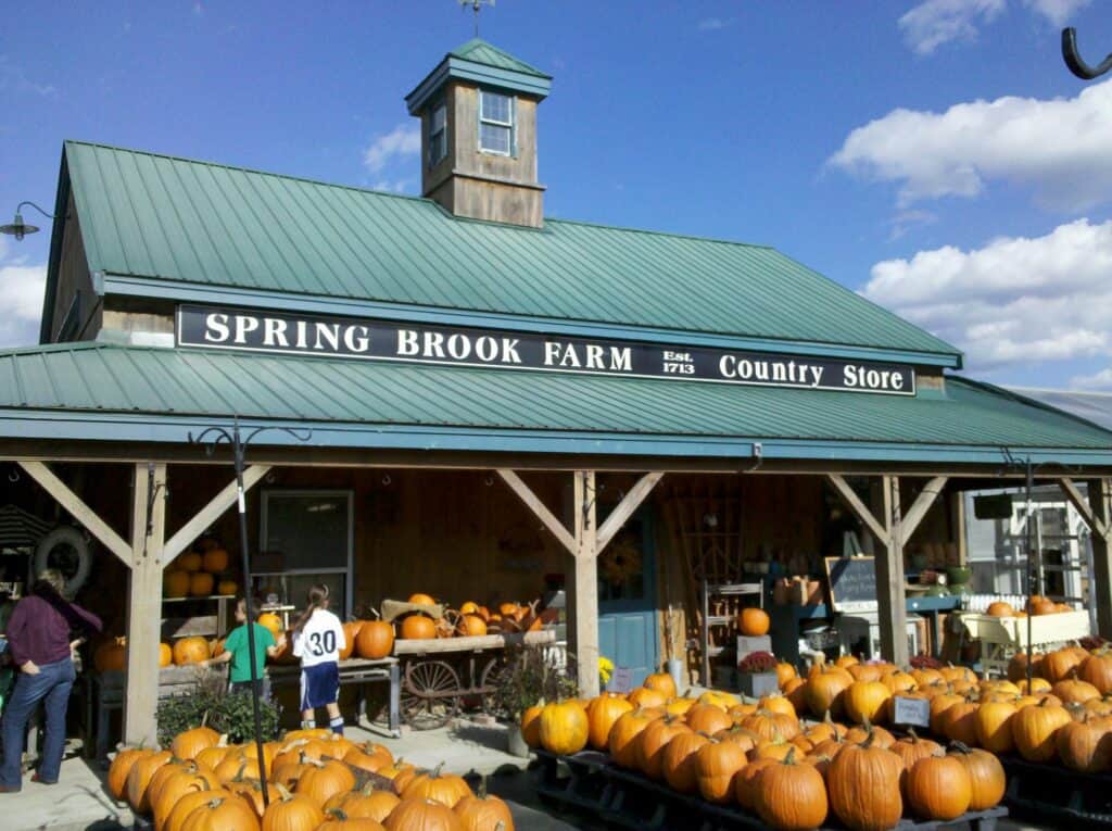 Spring Brook Farm