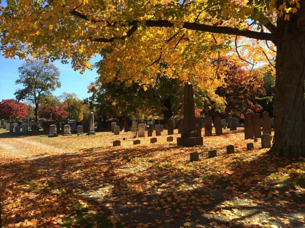 The Olde Burying Yarde
