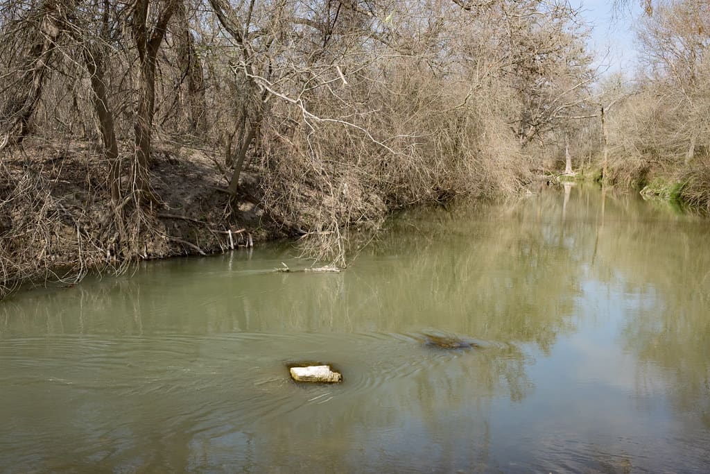 Medina River Natural Area