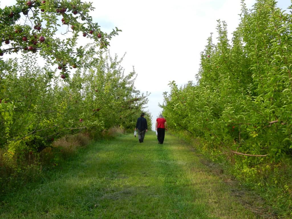 Autumn Hills Orchard