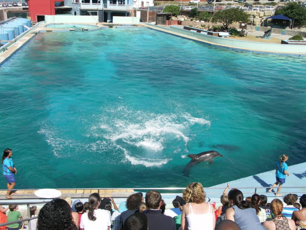 Bayworld, Port Elizabeth