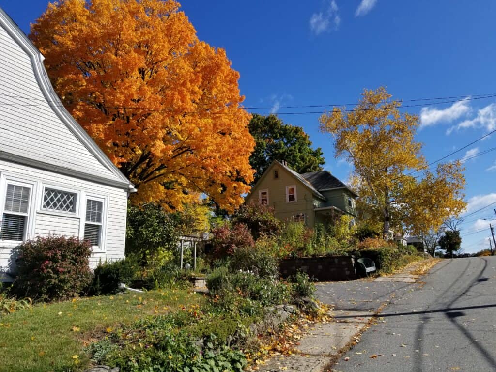 Roosevelt Street in Presidential Village