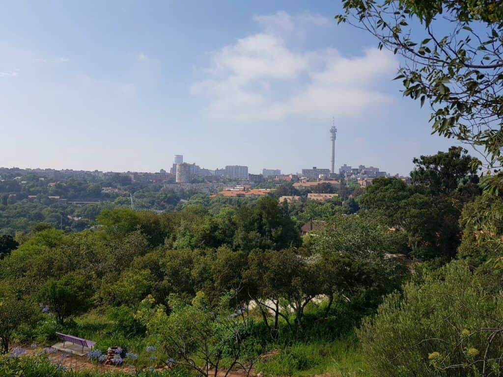View of Johannesburg from The Wilds