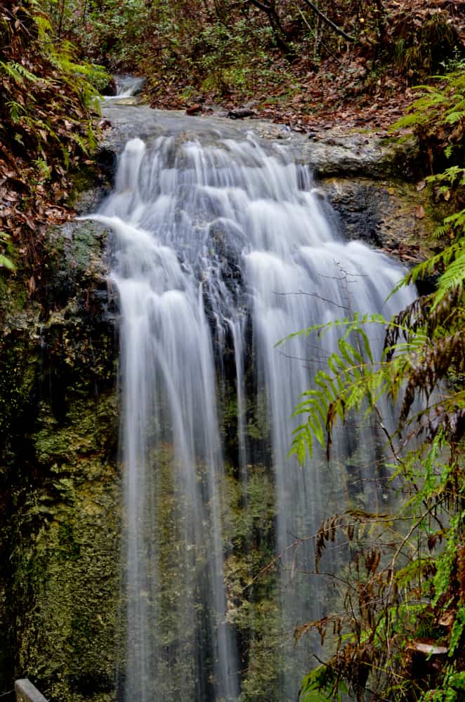 Falling Waters State Park
