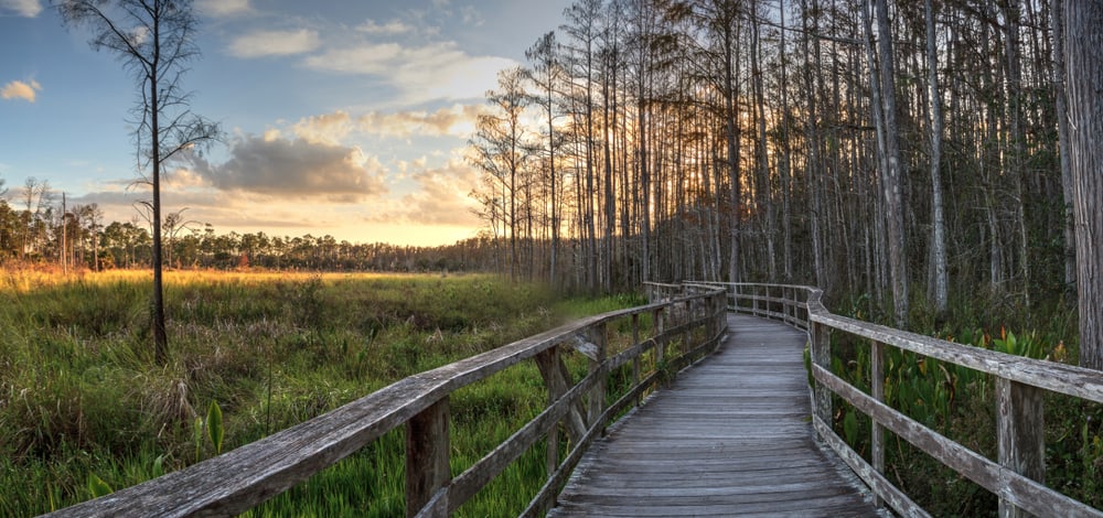 Corkscrew Swamp Sanctuary