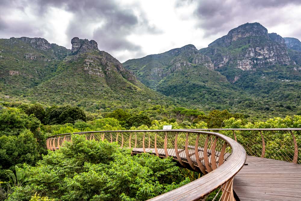 Kirstenbosch Botanical Gardens