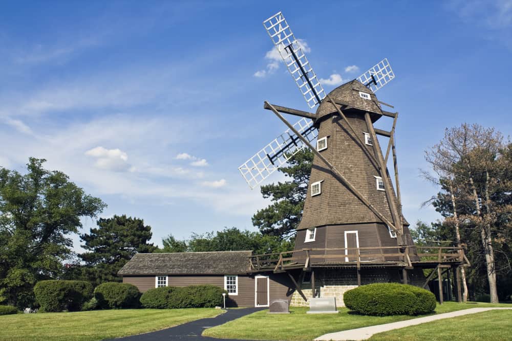 At the windmill Elmhurst