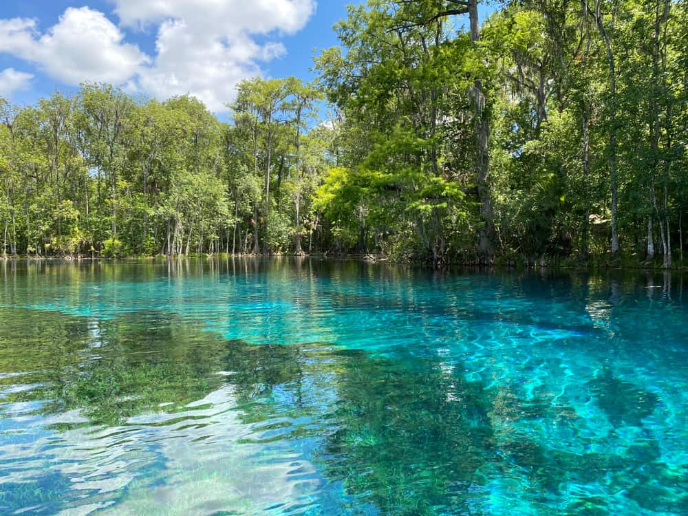 Silver Springs State Park