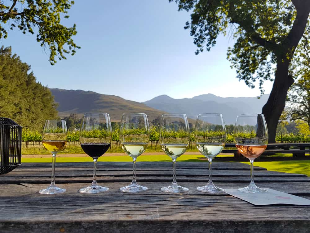 Wine tasting in Cape Town