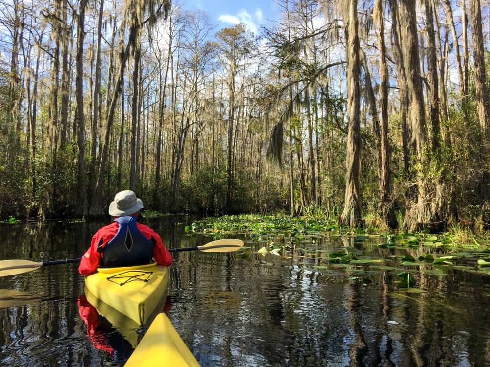 Okefenokee National Wildlife Refuge