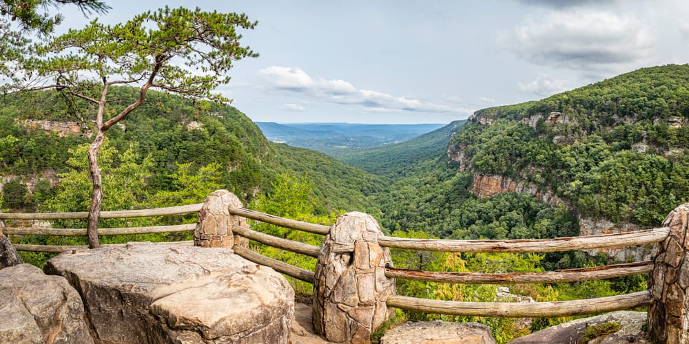 Cloudland Canyon State Park