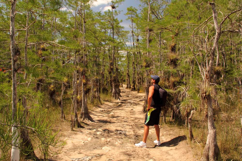 Big Cypress National Preserve