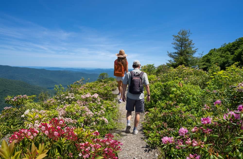 Hiking in Blue Ridge Parkway