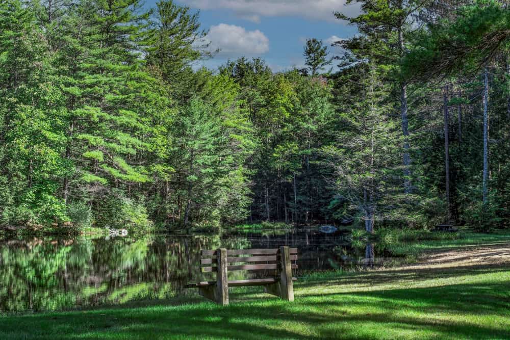 Beaman Pond, Otter River State Forest