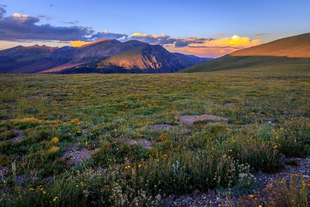 My View from the Trail Ridge Road